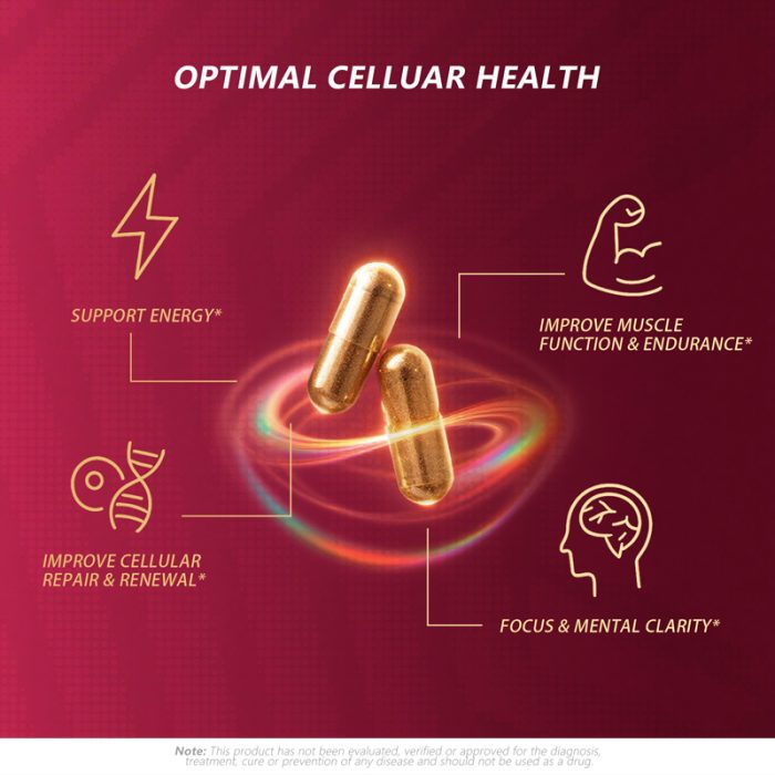 Cellular Renew Complex - Image 3